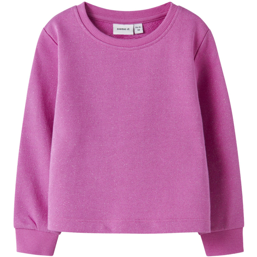 Køb Name It Strawberry Moon Nmfditter Ls Sweat Unb