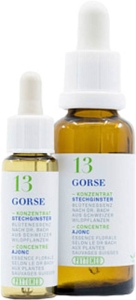PHYTOMED Bachblüten No13 Stechginster Flasche, 30 ml