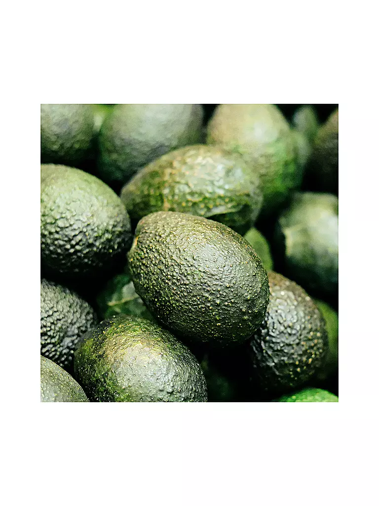 RAUSCH Farbschutz-Shampoo mit Avocado 200ml keine Farbe