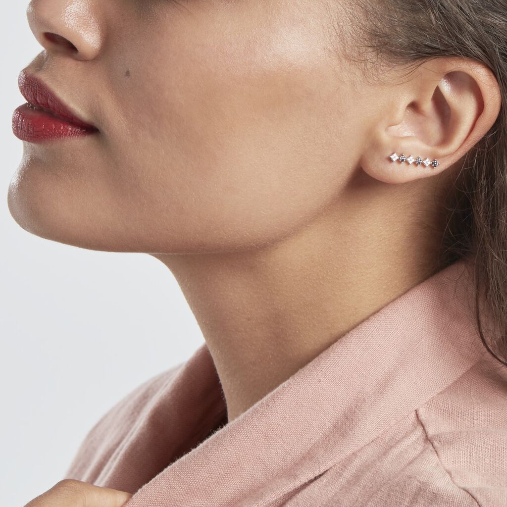 Boucles D'oreilles Grimpantes Bredig Argent Oxyde De Zirconium