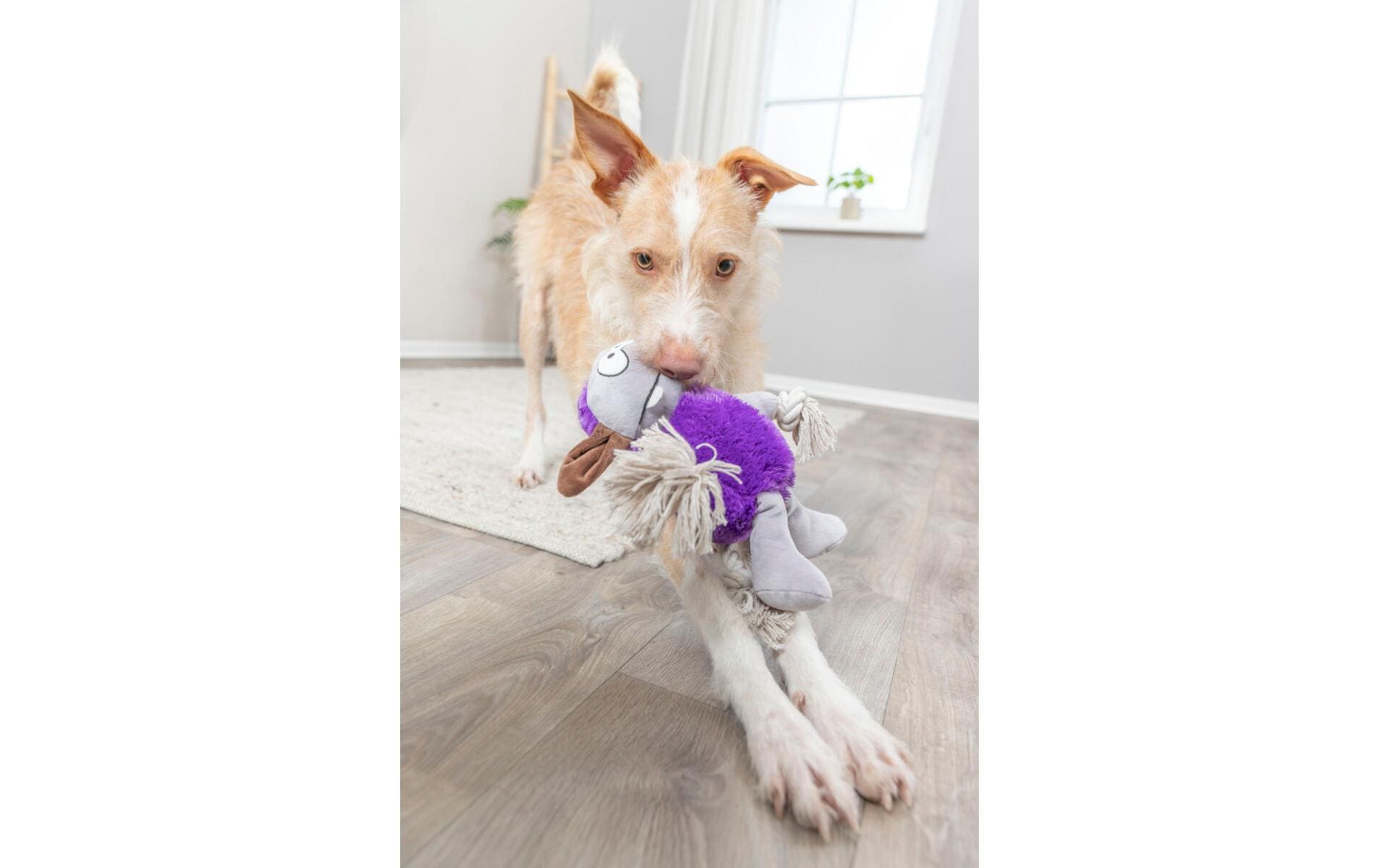 Hunde-Spielzeug Monster, 32 cm, LilaPlüschtier