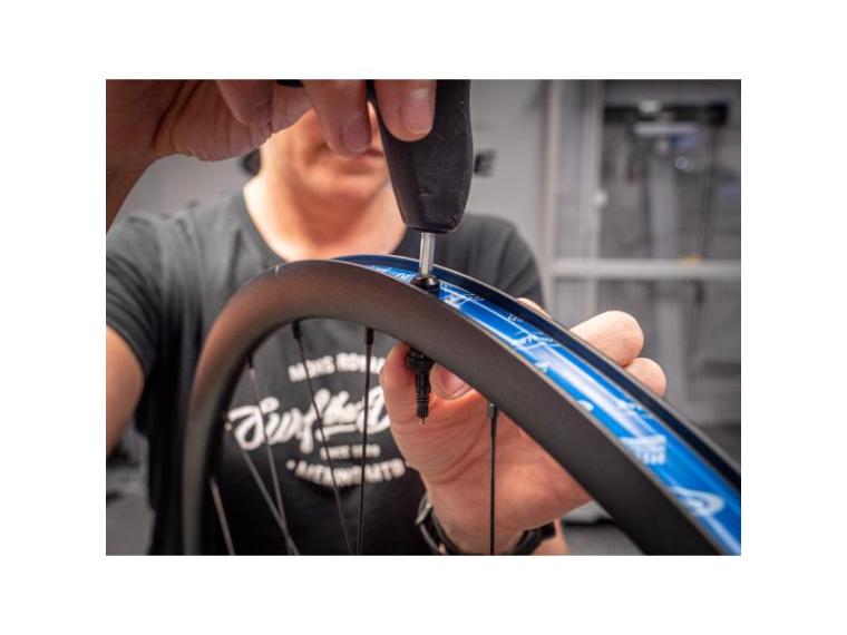 Schwalbe Tubeless Kit