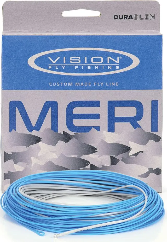 Vision Vision Meri