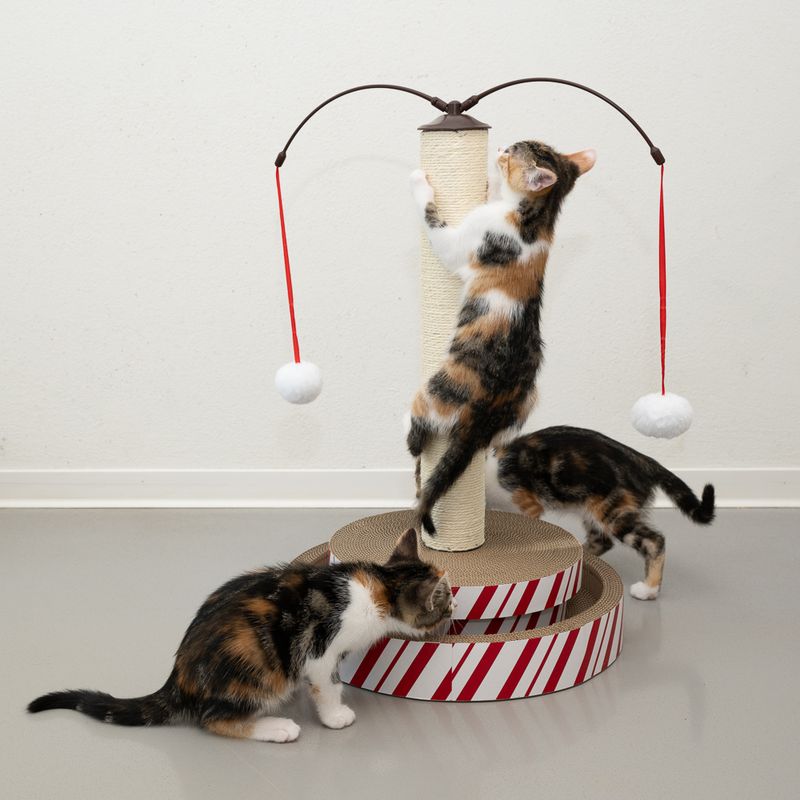 Tronc à griffer TIAKI Multitoy 4 en 1 pour chat