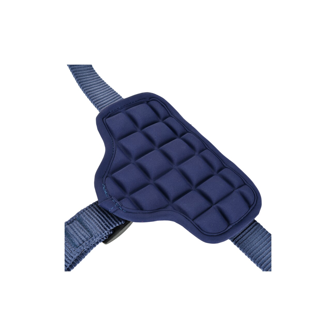 more LIFESTYLEPETS Tau-Geschirr blau S