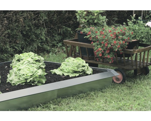 Slakkenhek FloraSelf 115 cm zilver