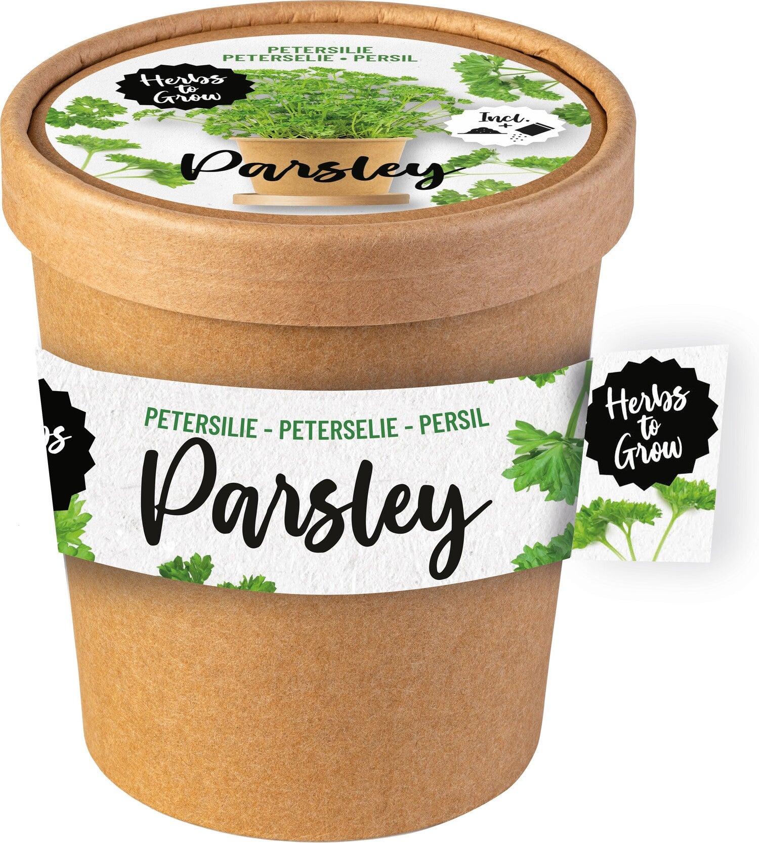 Florex Herbs To Grow Peterselie (Petroselinum) D 9,2 H 9,5 cm