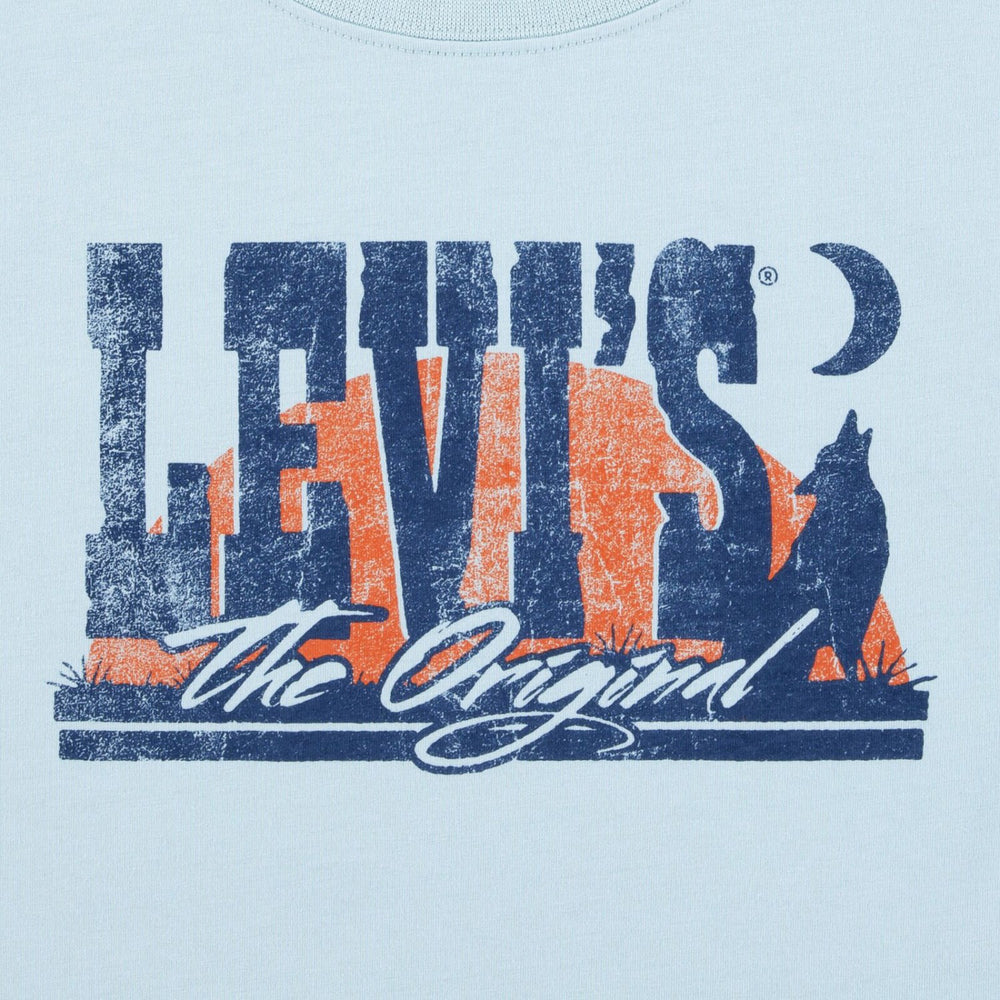 Køb Levi's Ether Lvb Desert At Dusk Tee