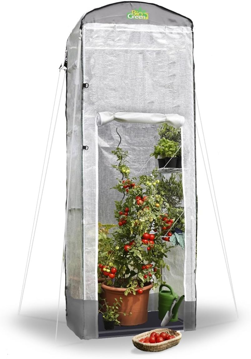 Bio Green Foliengewächshaus Patioflora 120 für Terrasse und Garten | Pflanzzelt ganzjährig einsetzbar | UV-beständig | 4 Belüftungsöffnungen | hohes Überwinterungszelt | L 120 x B 120 x H 300 cm