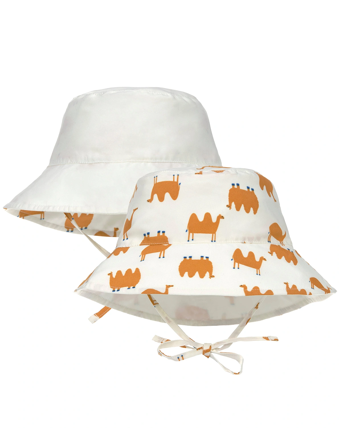 Wendehut CAMEL in nature