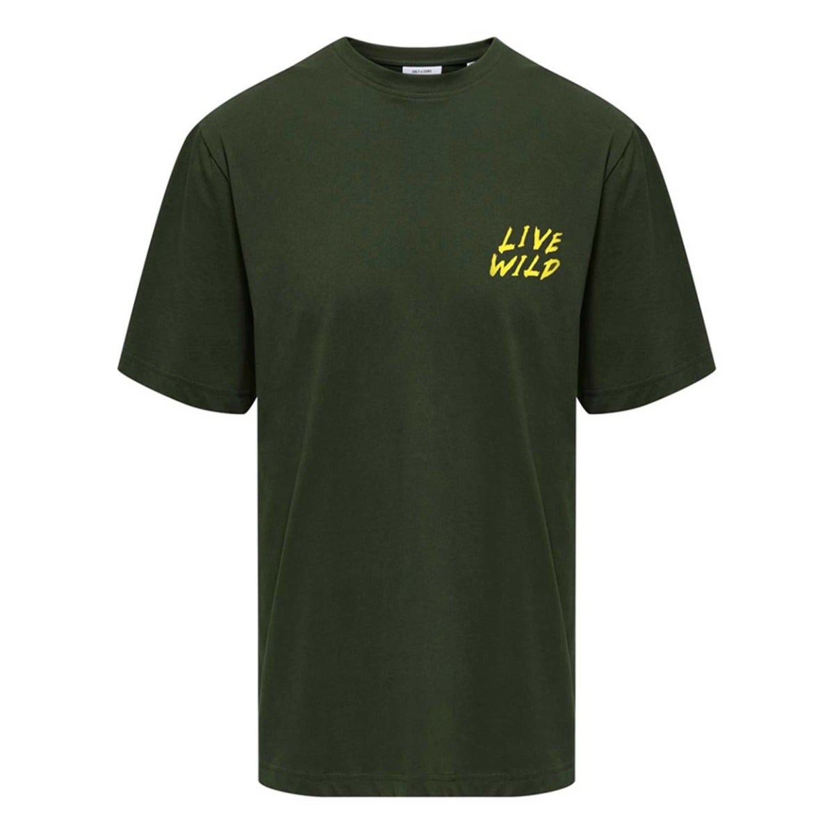 ONLY & Sons  Keane Relax Printed Tee