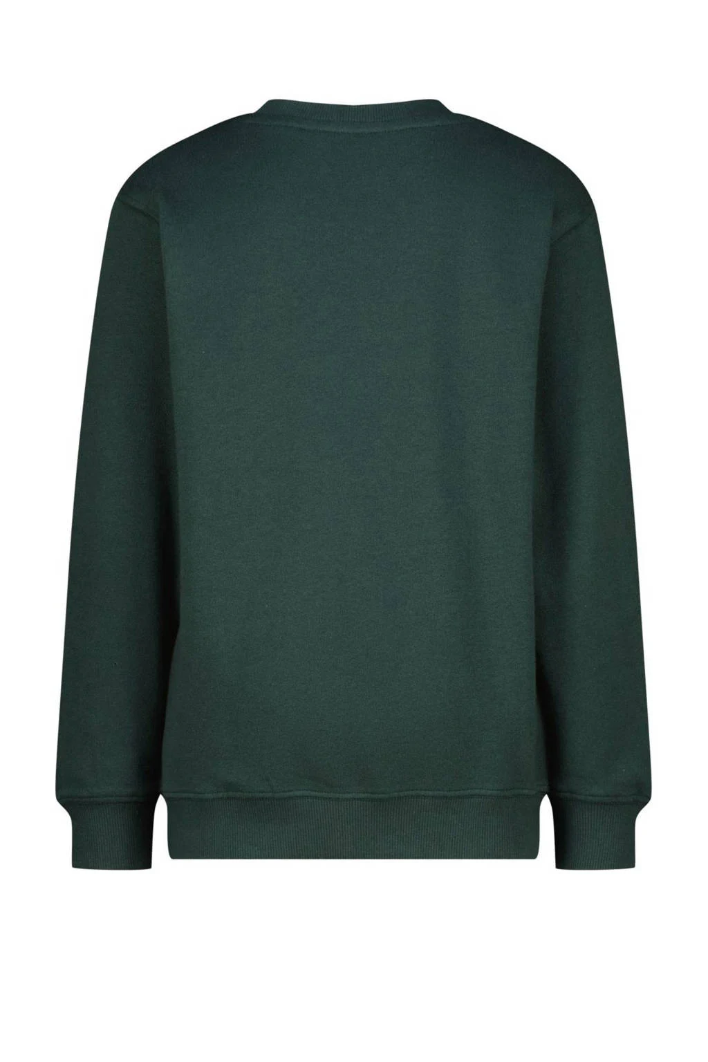 Raizzed sweater donkergroen