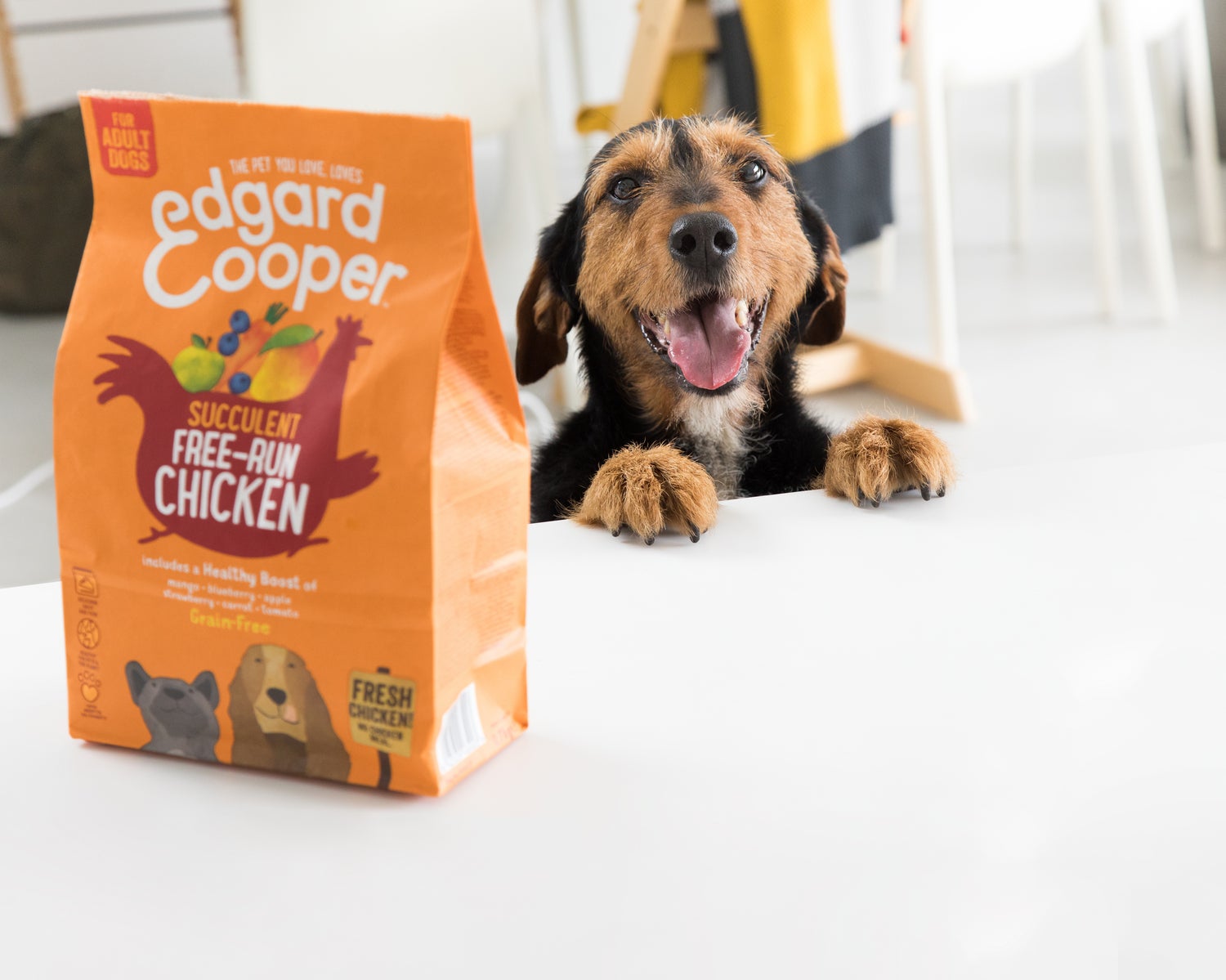 Edgard & Cooper hondenvoer verse scharrelkip adult 700 g
