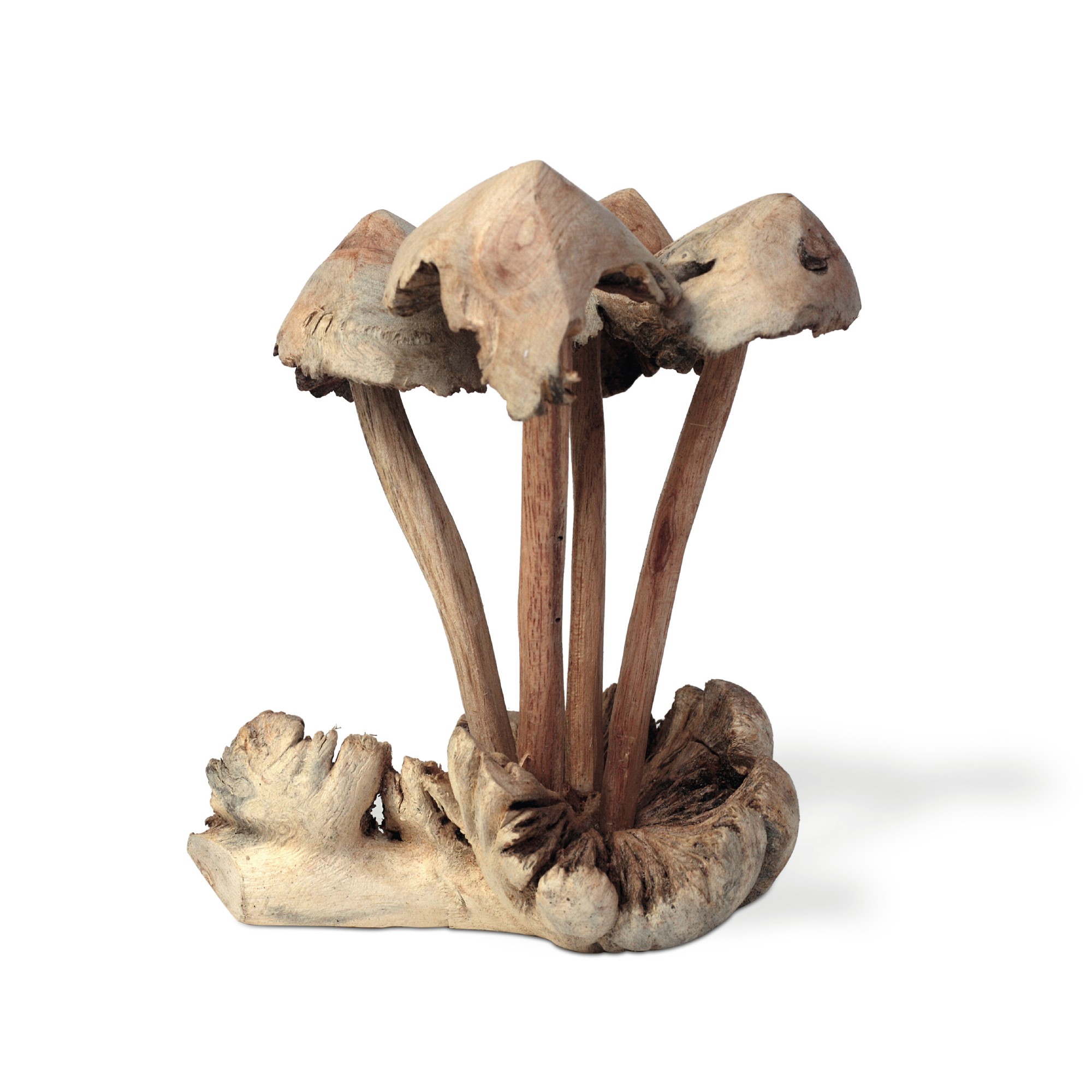 Figur 'Blätterpilz' aus Holz, Ø 13 cm, H 15 cm von fischer's lagerhaus