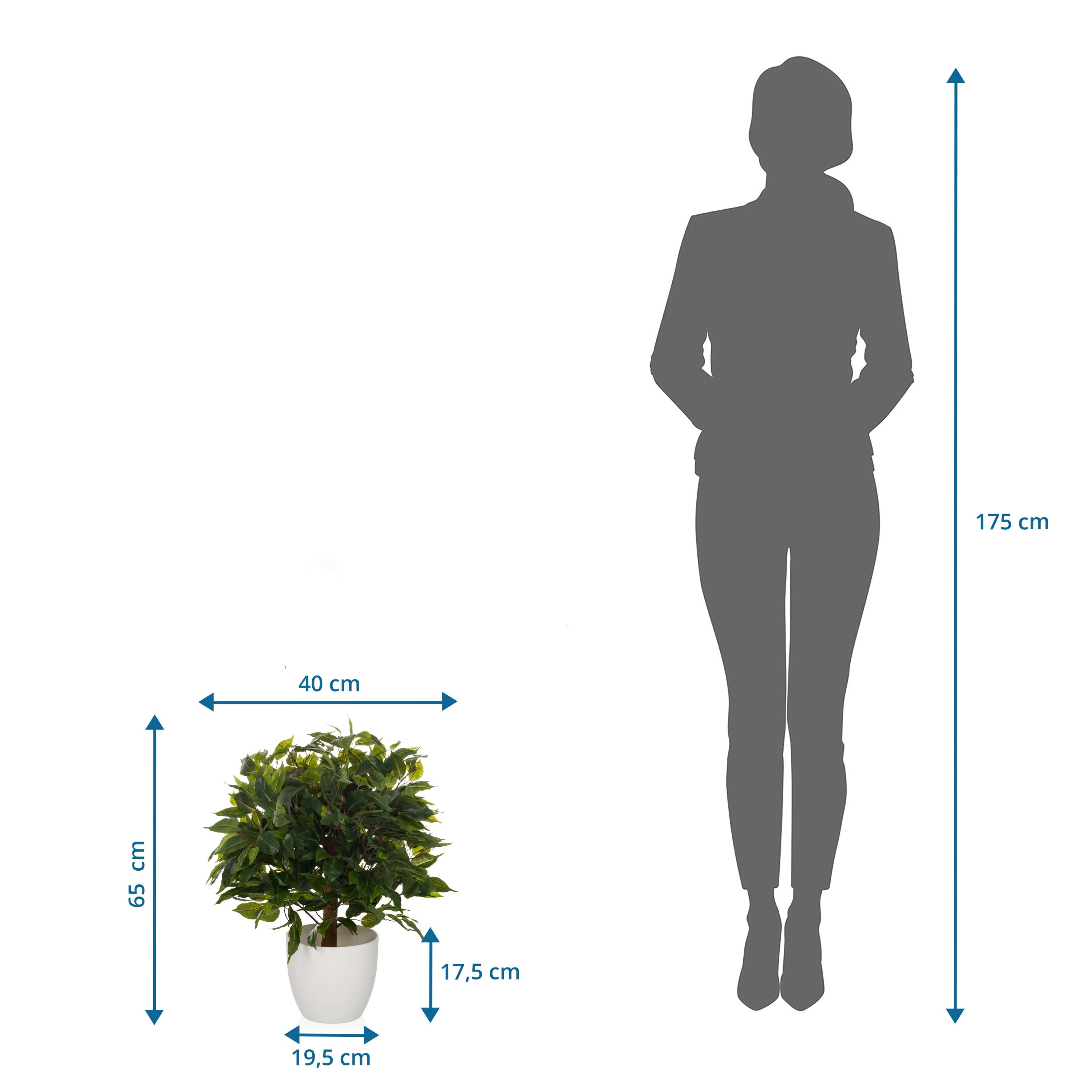 Kunstpflanze FICUS II Kunststoff hjh OFFICE