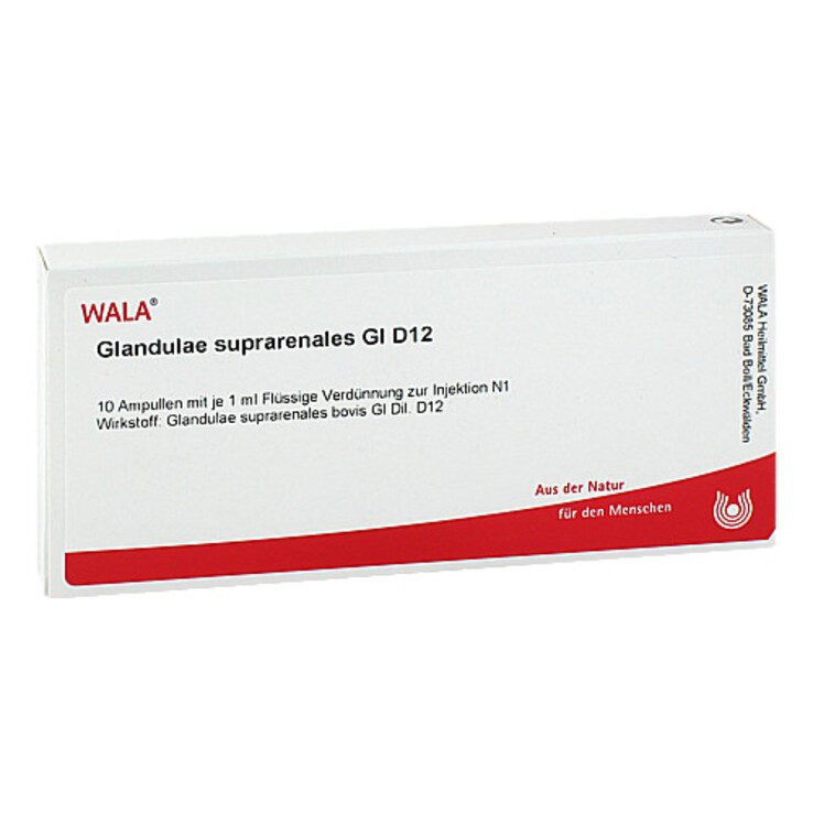 Glandulae suprarenalis GL D 12 Ampullen, 10X1 ml