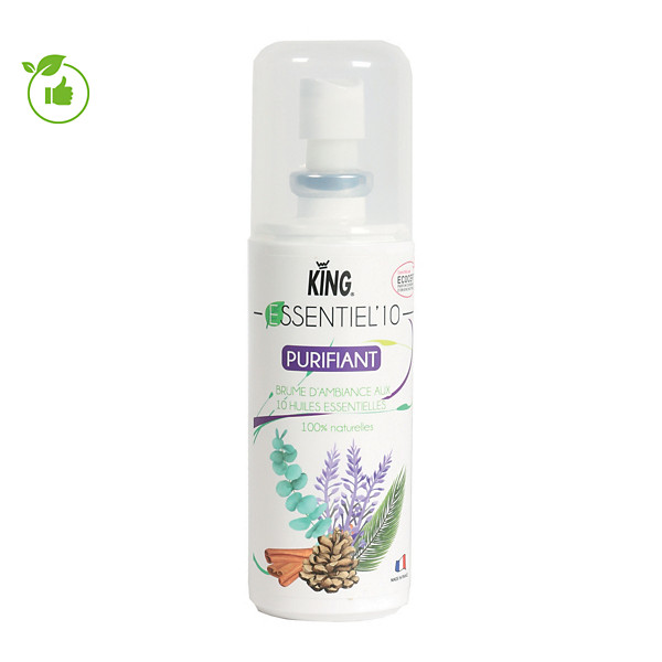 Désodorisant assainissant aux huiles essentielles Essentiel'10 100 ml