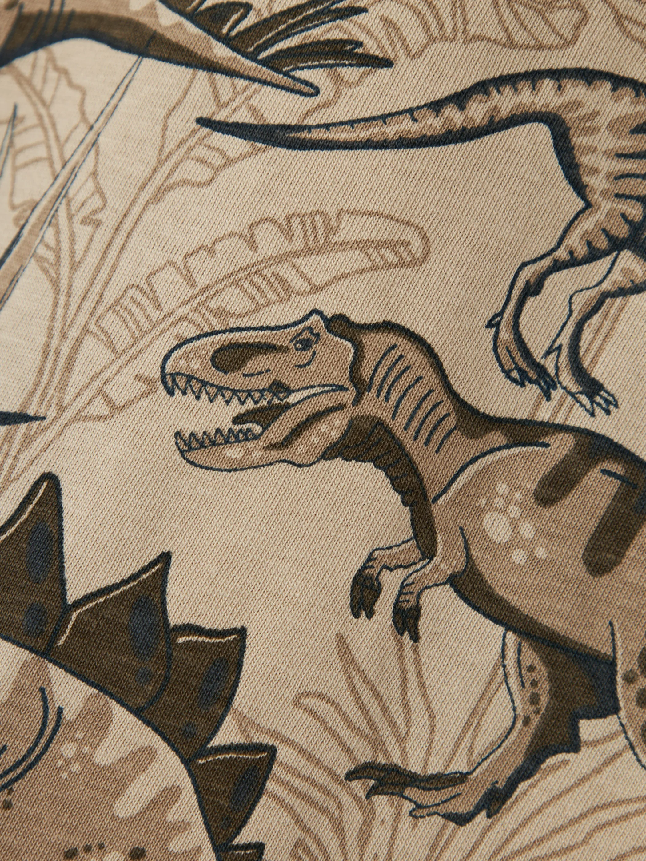 Jungen Shirt mit Dino Alloverprint