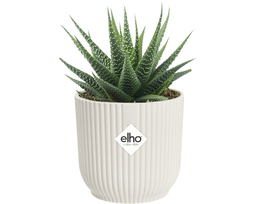 elho Vibes opvouwbare ronde mini plantenbak, kunststof, Ø 9,3 cm, H 8,8 cm, wit