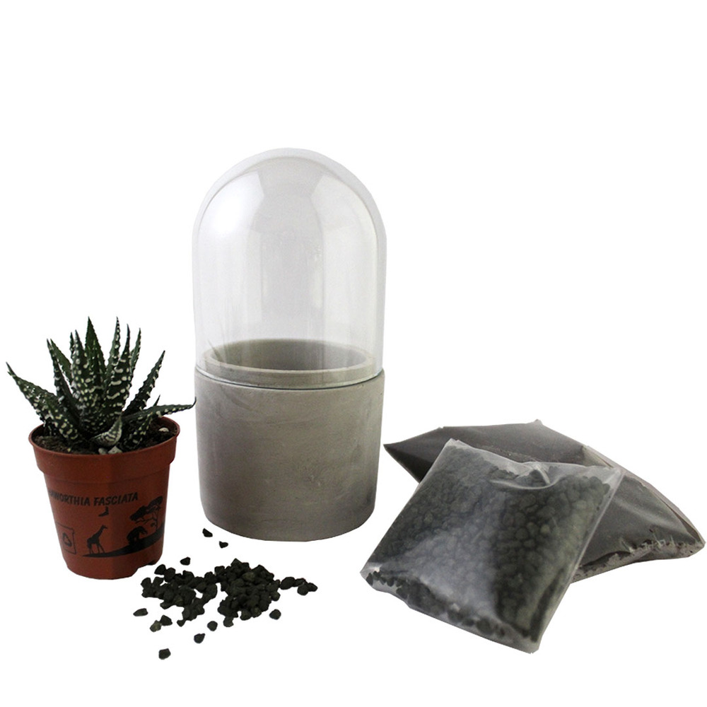 Mini kit terrarium succulente vert/blanc