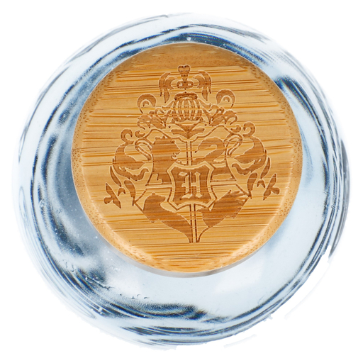 Garrafa Harry Potter 63642