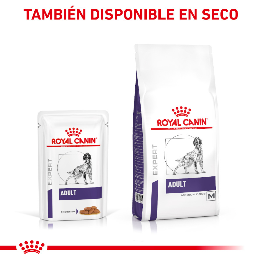Sachê Royal Canin Expert Adult em molho para cães - Pacote