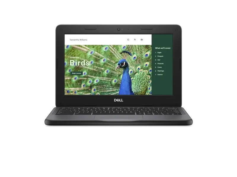 Dell Chromebook 3120 (2024) - Intel N-series - N100 / op til 3.4 GHz - Chrome OS - UHD Graphics - 4 GB RAM - 64 GB eMMC - 11.6
