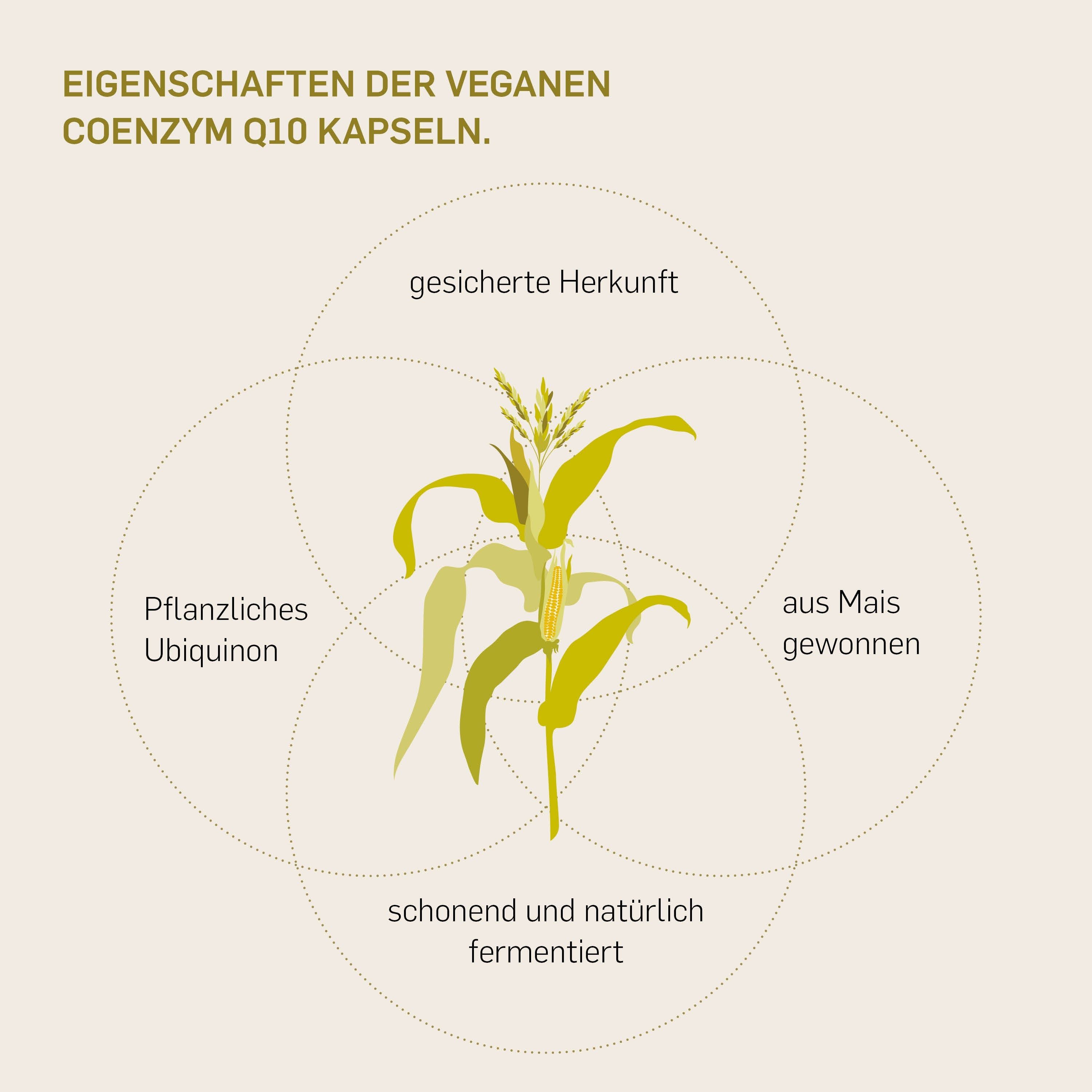 Kurkraft© Coenzym Q10