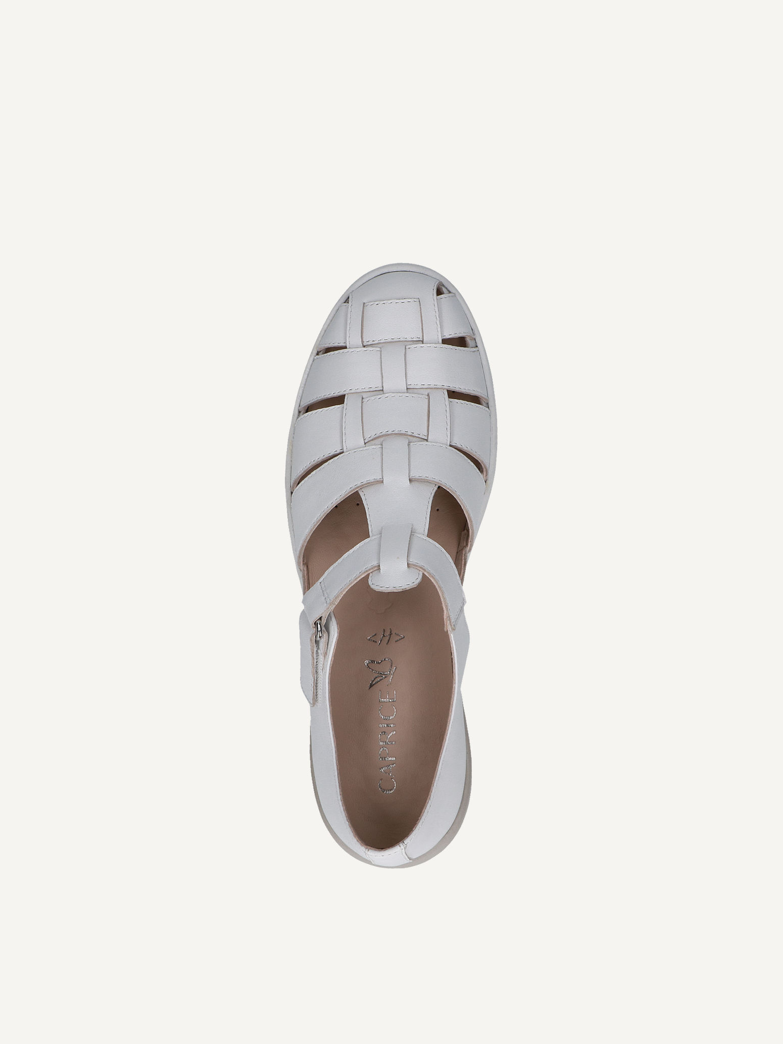 Slipper