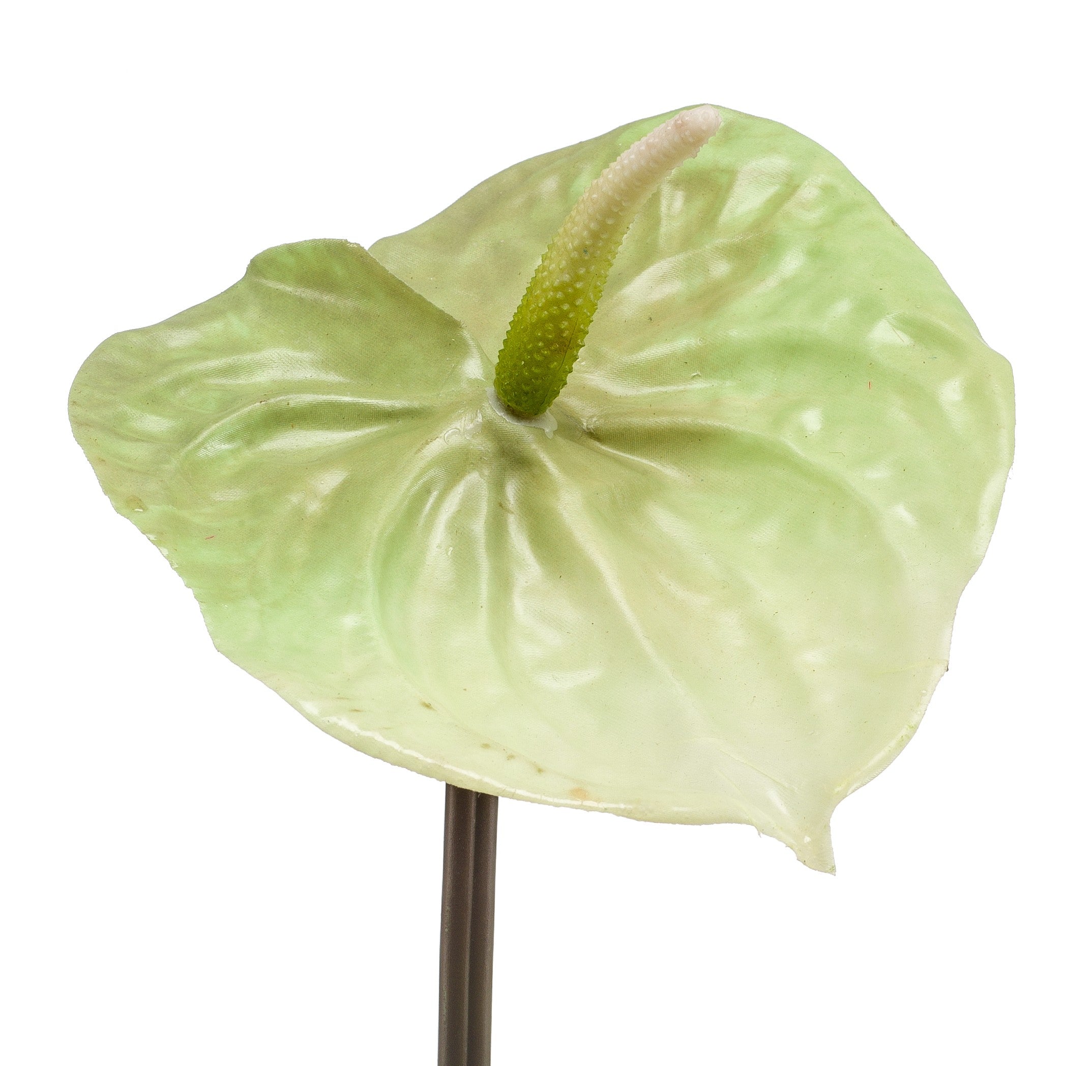 Fleurdirect Kunstbloem Anthurium Groen -  - 0x65x0cm (BxHxD)