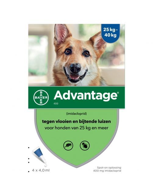 Advantage Hond 4 pip - Anti vlooien en luizenmiddel