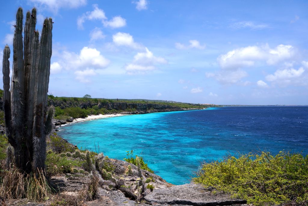 Cruise Only van Curaçao naar IJmuiden Volpension