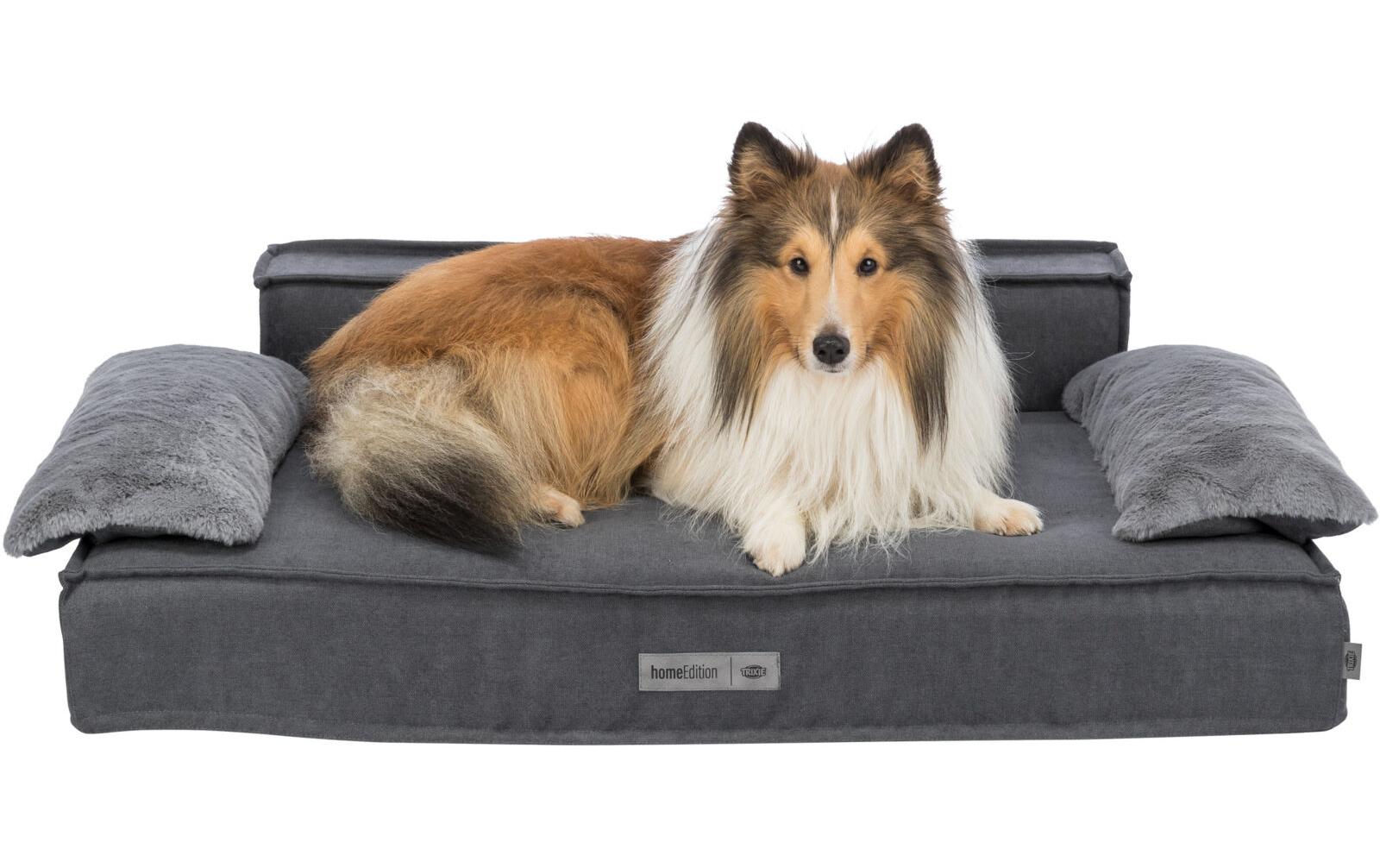 Hunde-Sofa Liano, 100 x 60 cm, Grau<br>Stylisches Sofa für Hunde