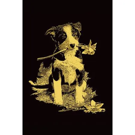 Mammut 131004 Miniscraper Gold Hund