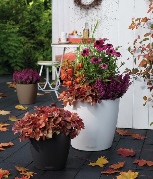 LECHUZA® CLASSICO Color, All-in-One-Set