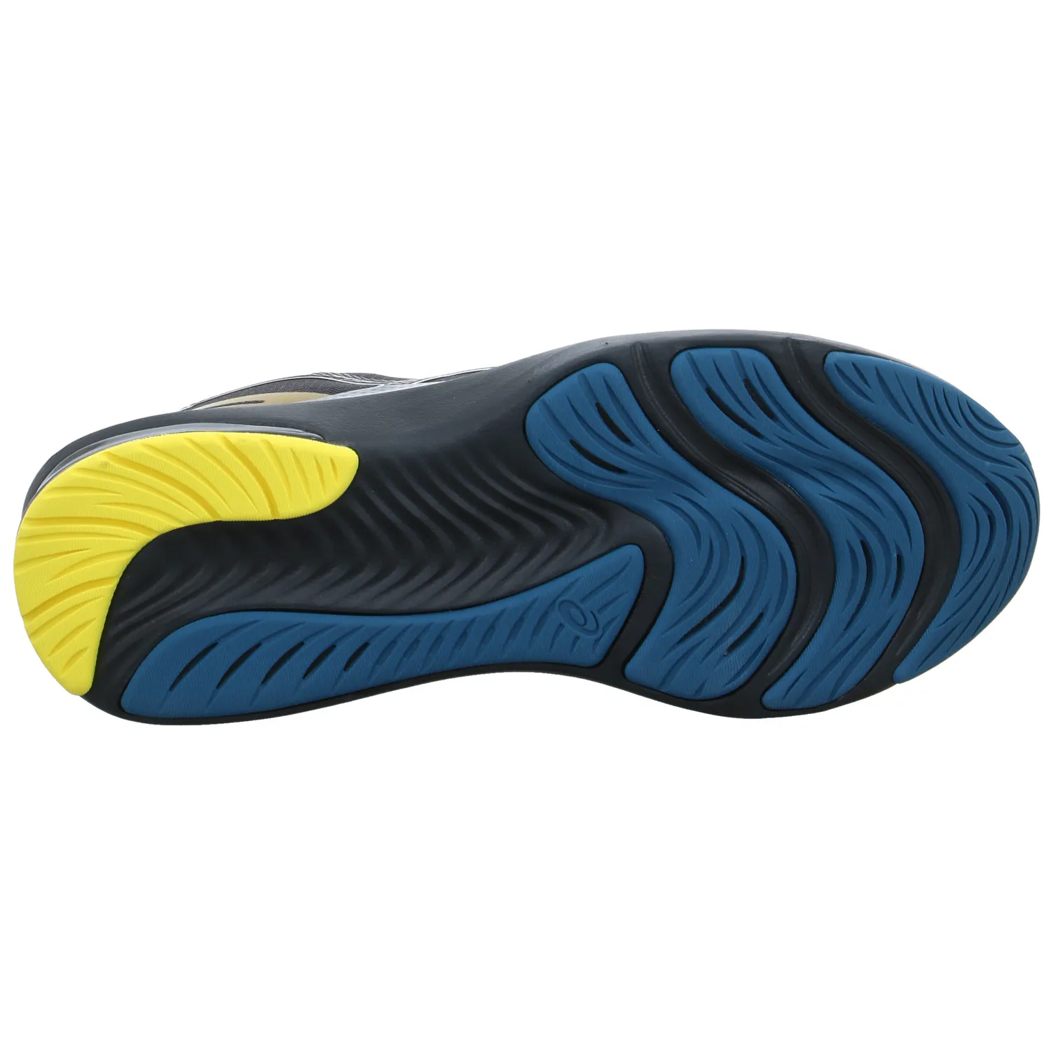 ASICS Walking + Outdoor Schwarz Lederimitat