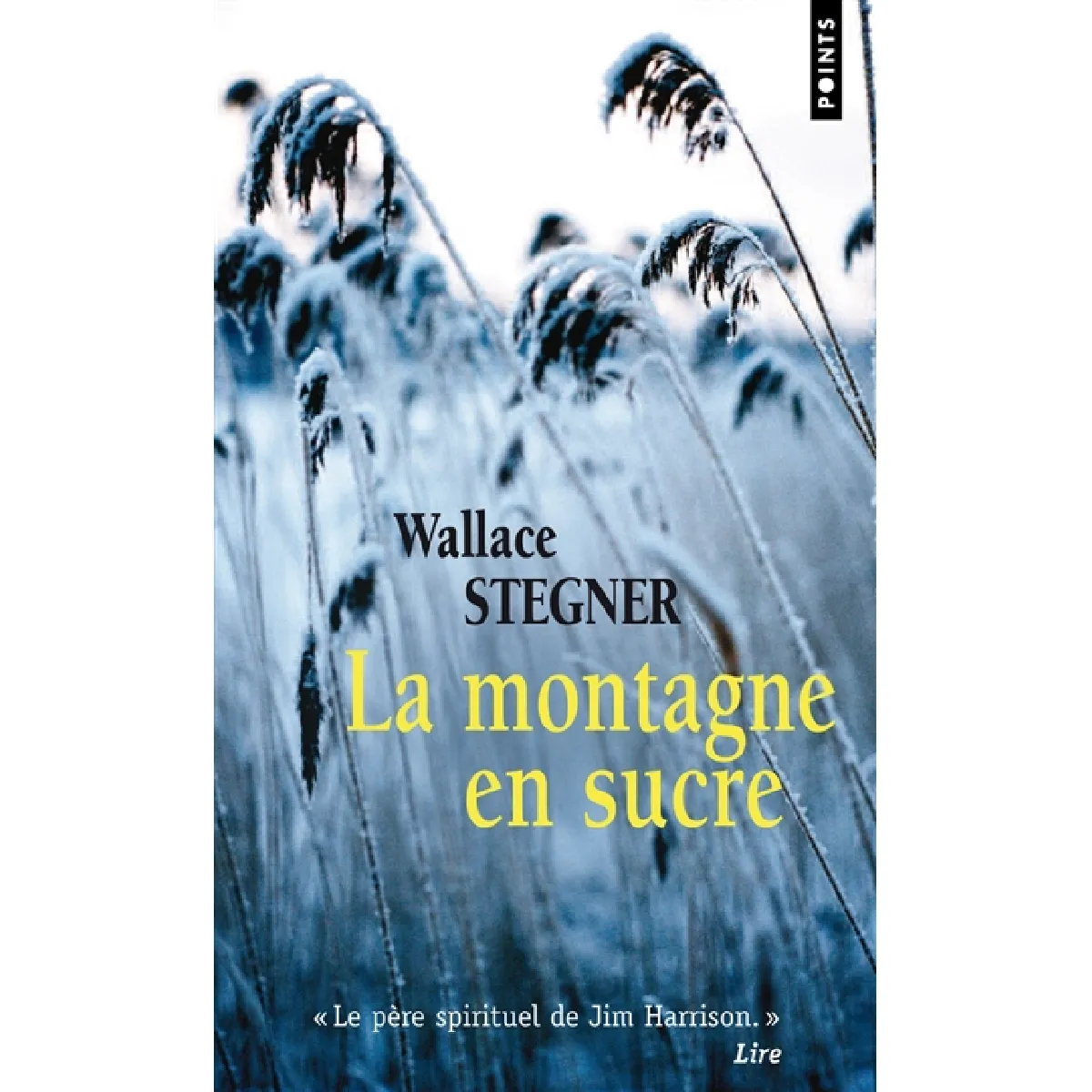 La montagne en sucre · Occasion