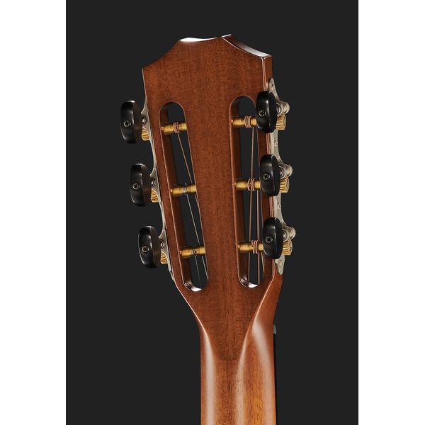 Taylor 512ce 12-Fret Urban Ironback