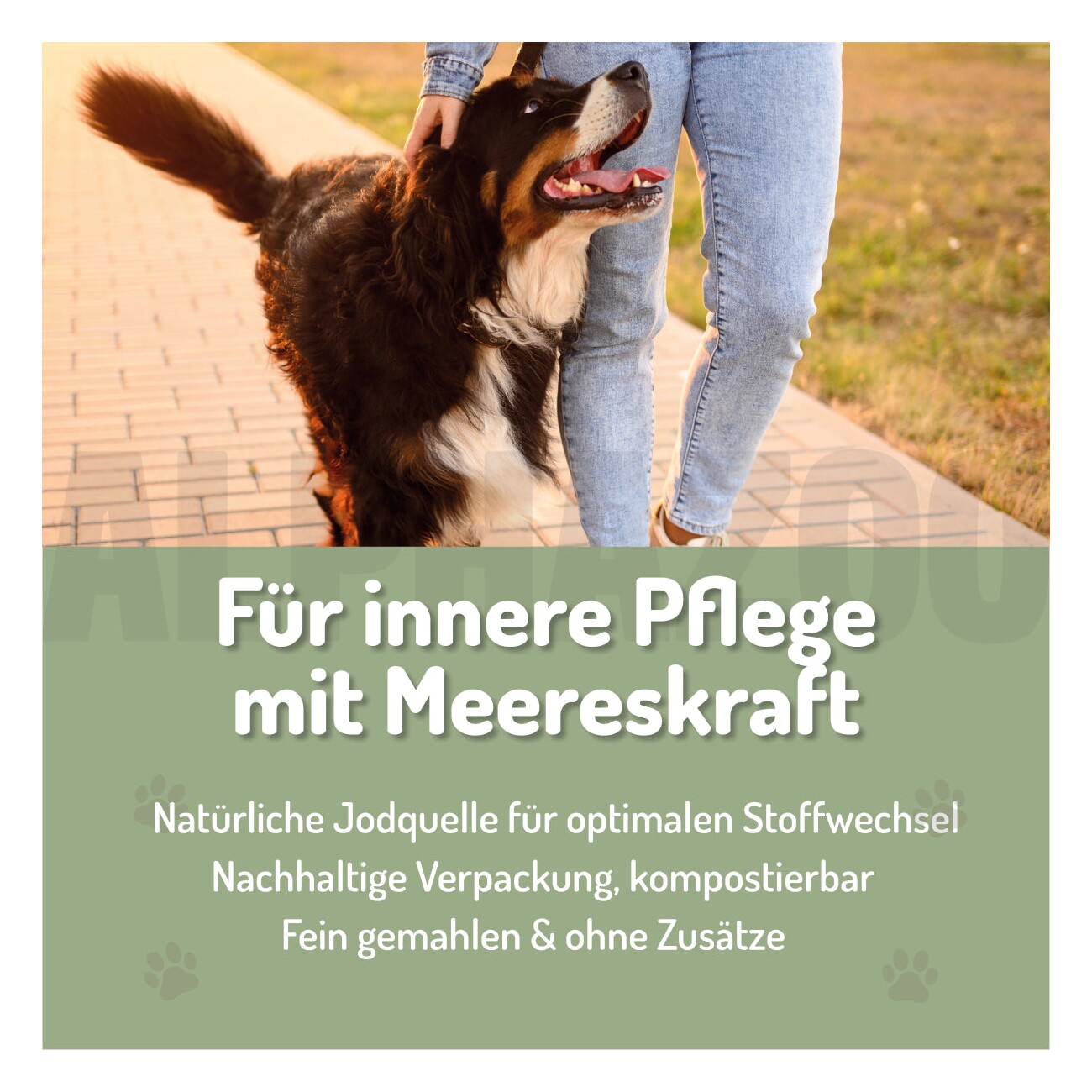 ALPHAZOO Seealgenmehl für Hunde und Katzen 250 g