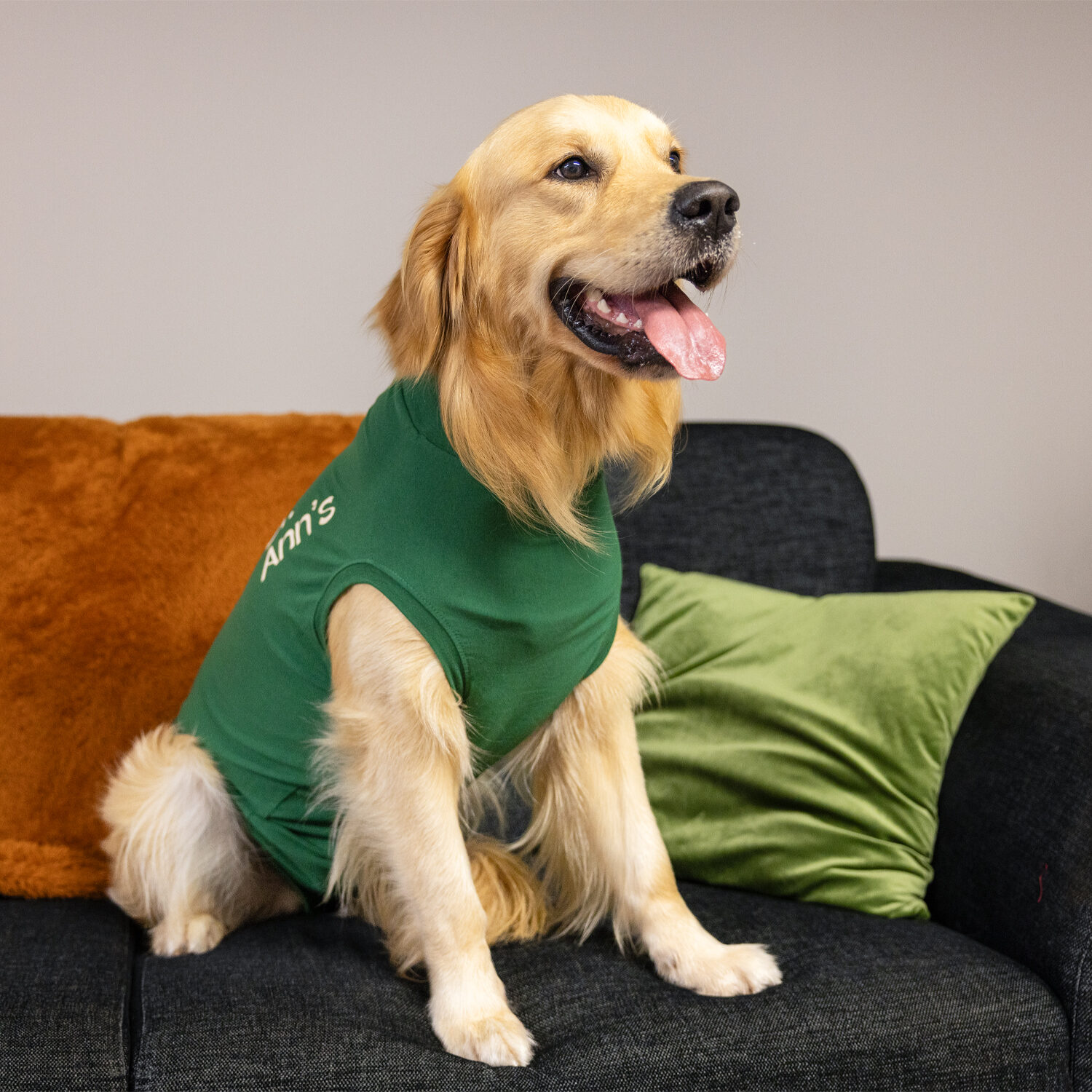 Dr. Ann's Protective Shirt Hond