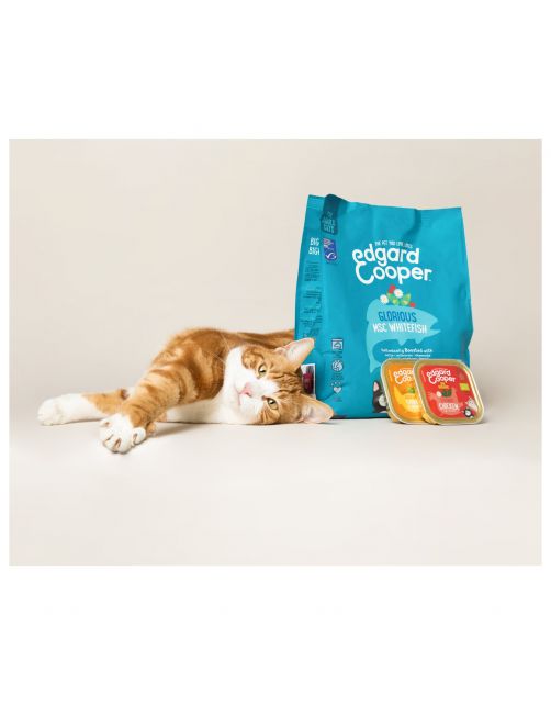 Edgard&Cooper Kuipje Adult 85 g - Kattenvoer