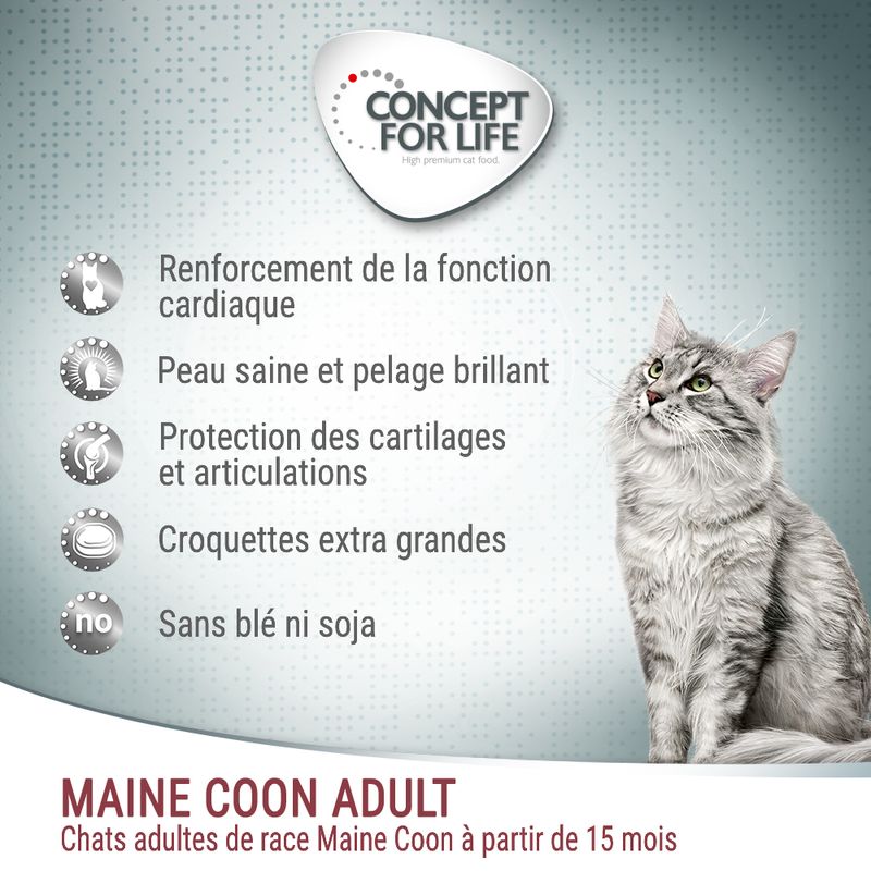 Concept for Life Maine Coon Adult