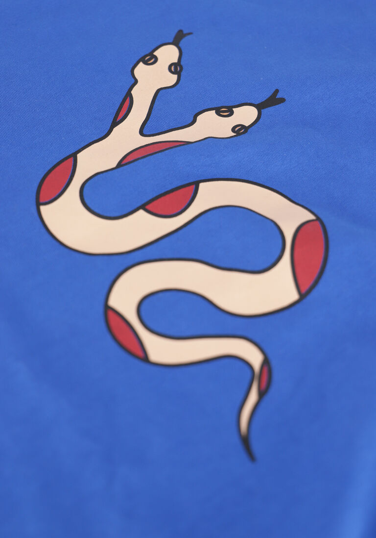 CARLIJNQ blauwe carlijnq trui serpent - sweater with print
