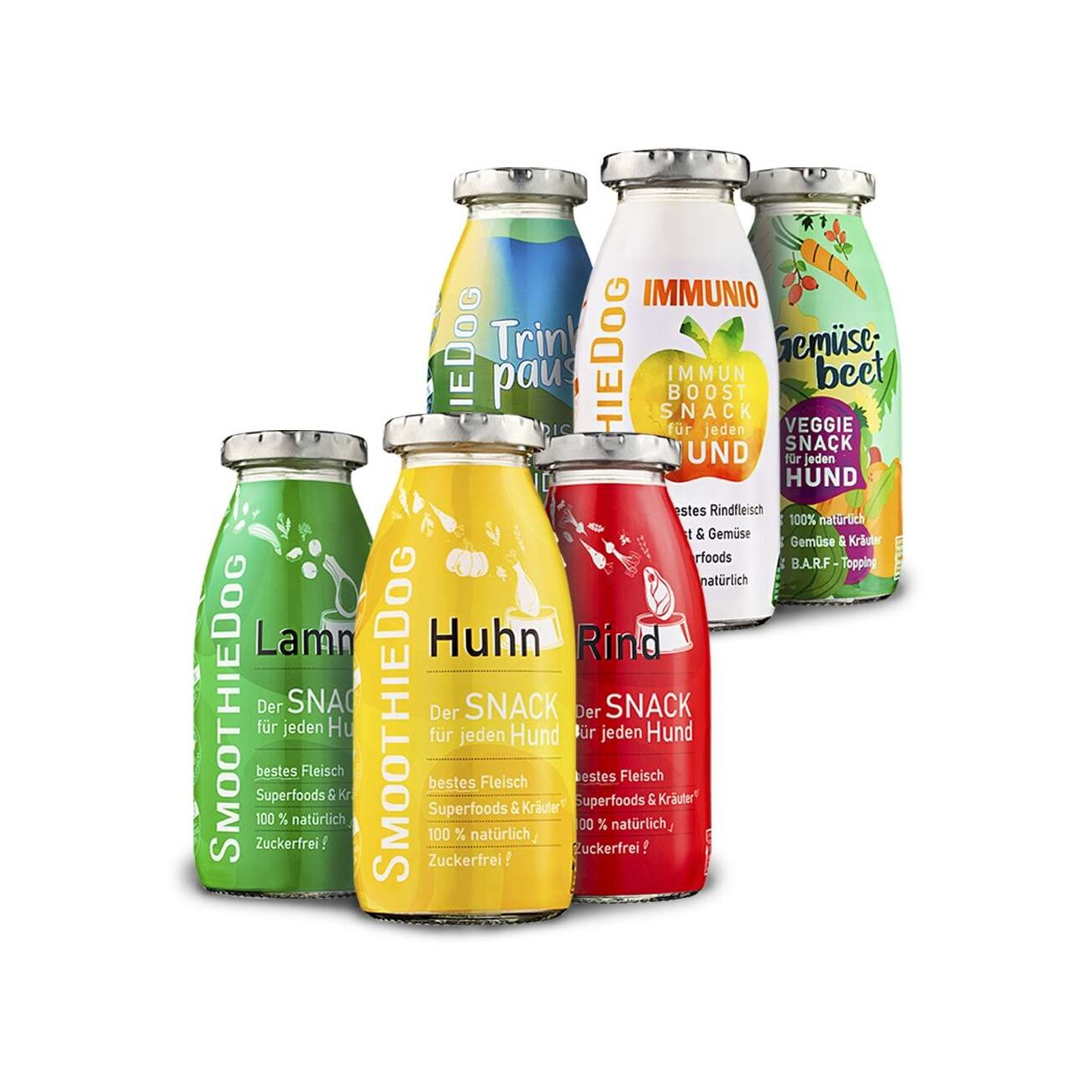 SmoothieDog Mix 6x 250 ml + Eiswürfelform
