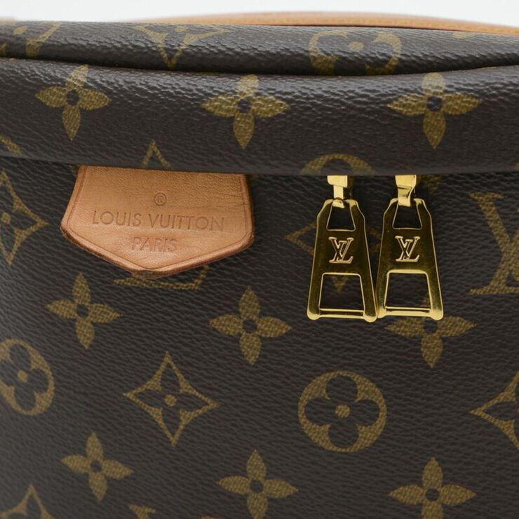 Louis Vuitton Vintage Louis Vuitton Bumbag Brown