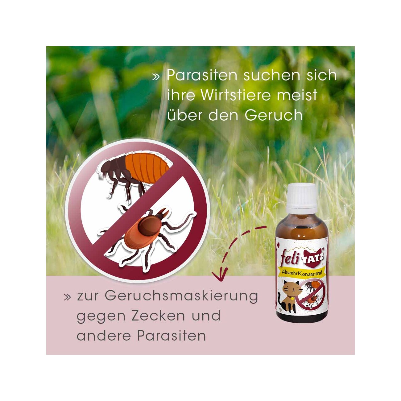 cdVet feliTATZ AbwehrKonzentrat