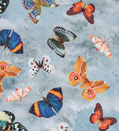 Molo Bluse - Rose - Les Papillons