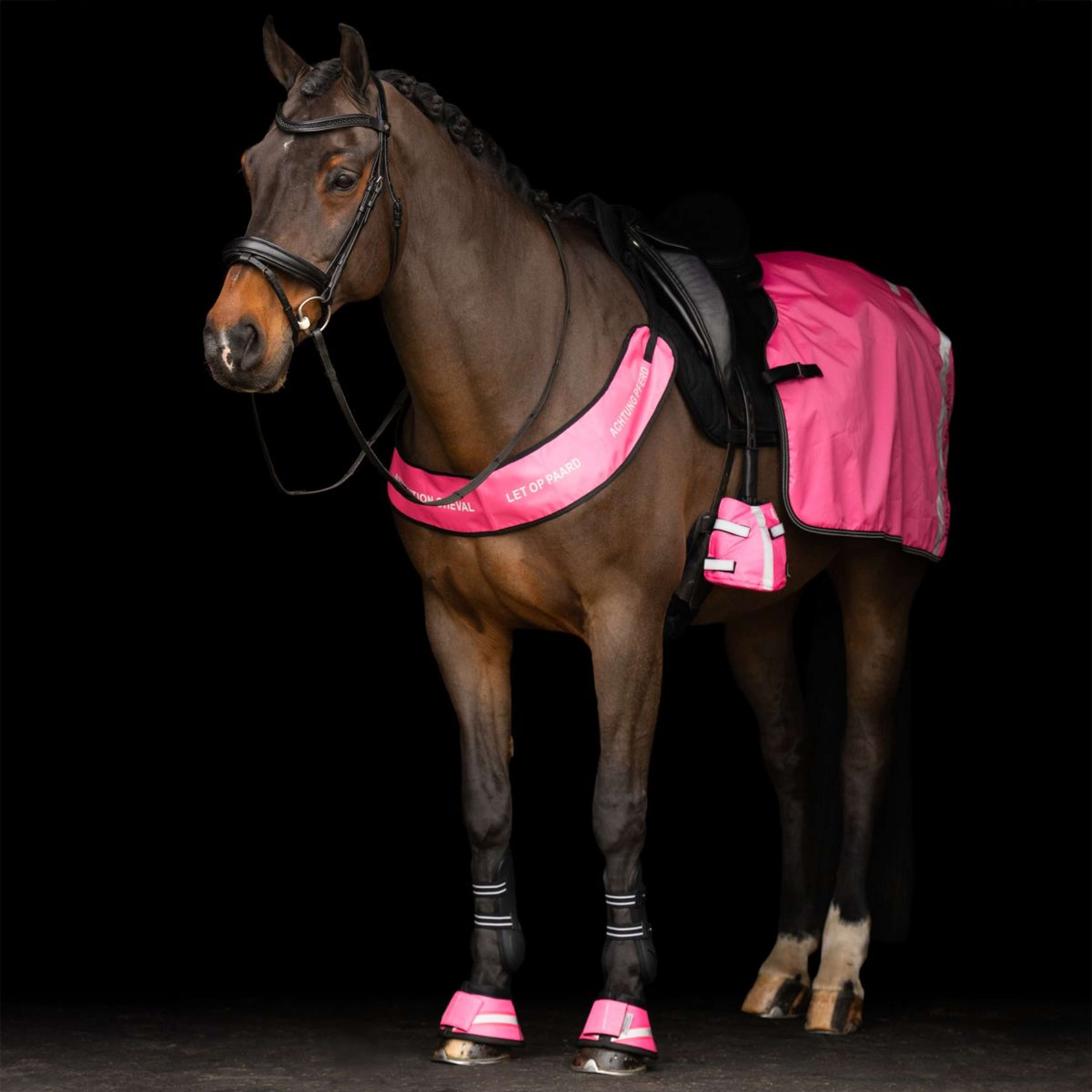 Imperial Riding Teenwarmer IRHReflective Pink