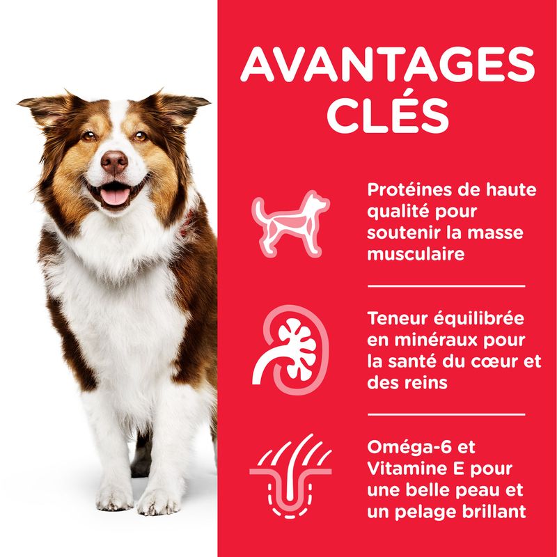 Hill's Science Plan Mature Adult 7+ Medium poulet - bitiba.fr