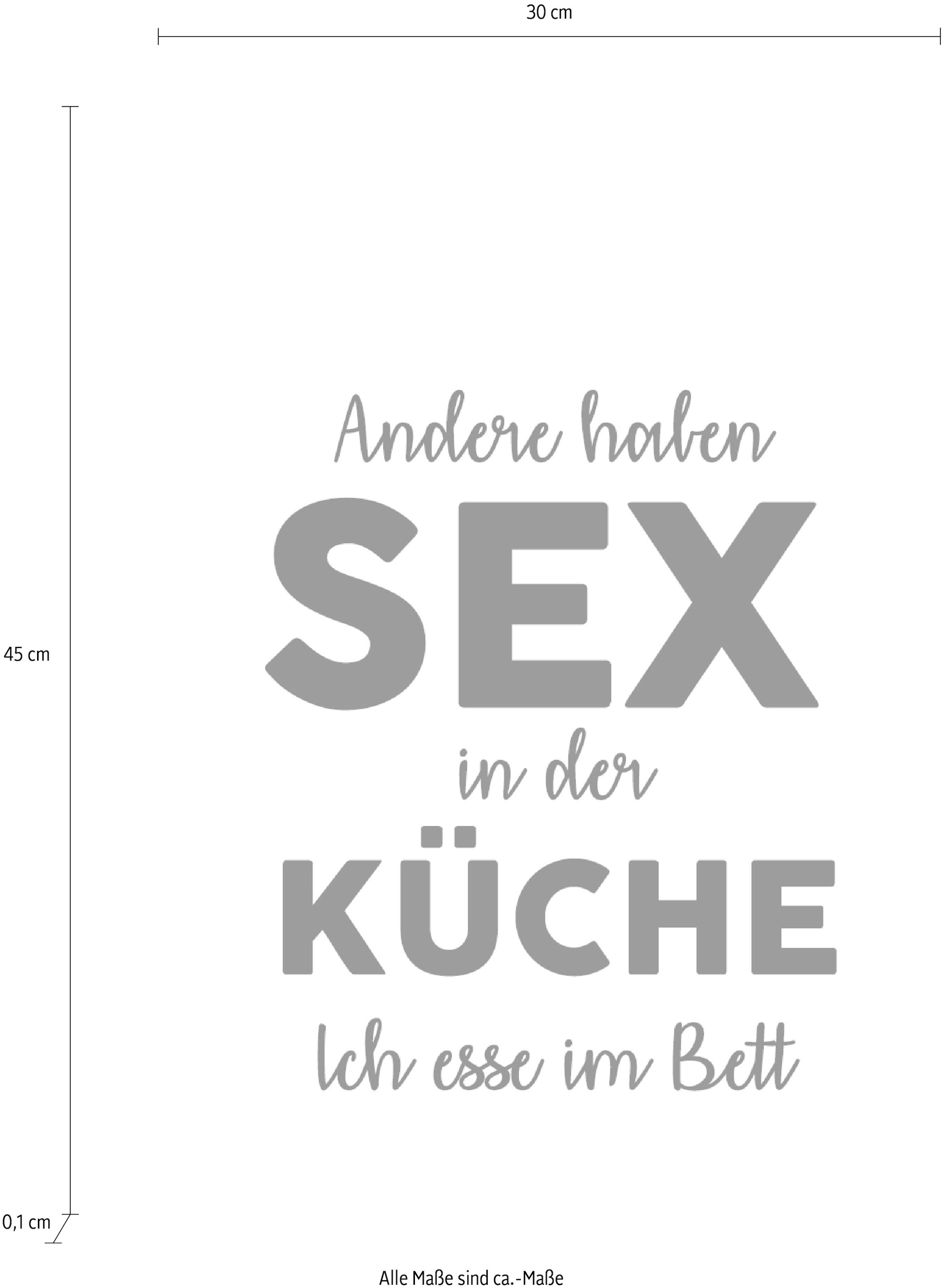 queence Wanddekoobjekt »Andere haben Sex in der ...« Stahlschild, Blechschild, Spruch, Witzig, Wanddeko, retro, 20x30cm